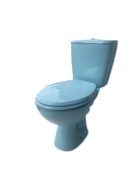 A close-coupled toilet, where the cistern is directly attached to the toilet bowl. It's a popular, space-saving design known for easy installation and maintenance.